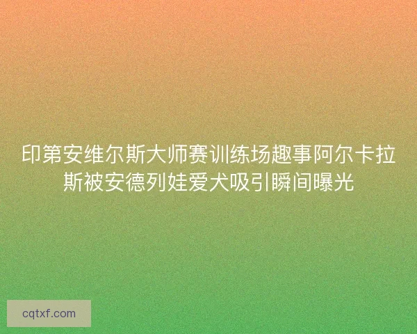印第安维尔斯大师赛训练场趣事阿尔卡拉斯被安德列娃爱犬吸引瞬间曝光